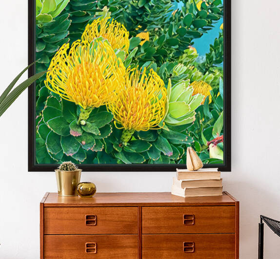 Protea 1 by Mary Jo s Art Inspirations
