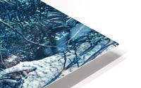 NY Winter 1 HD Metal print