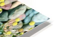 yellow button flower 2 HD Metal print