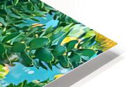 Protea 1 HD Metal print