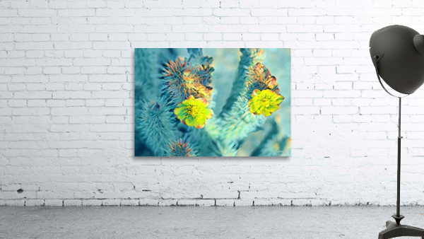 Desert Cholla 1 Wall Preview