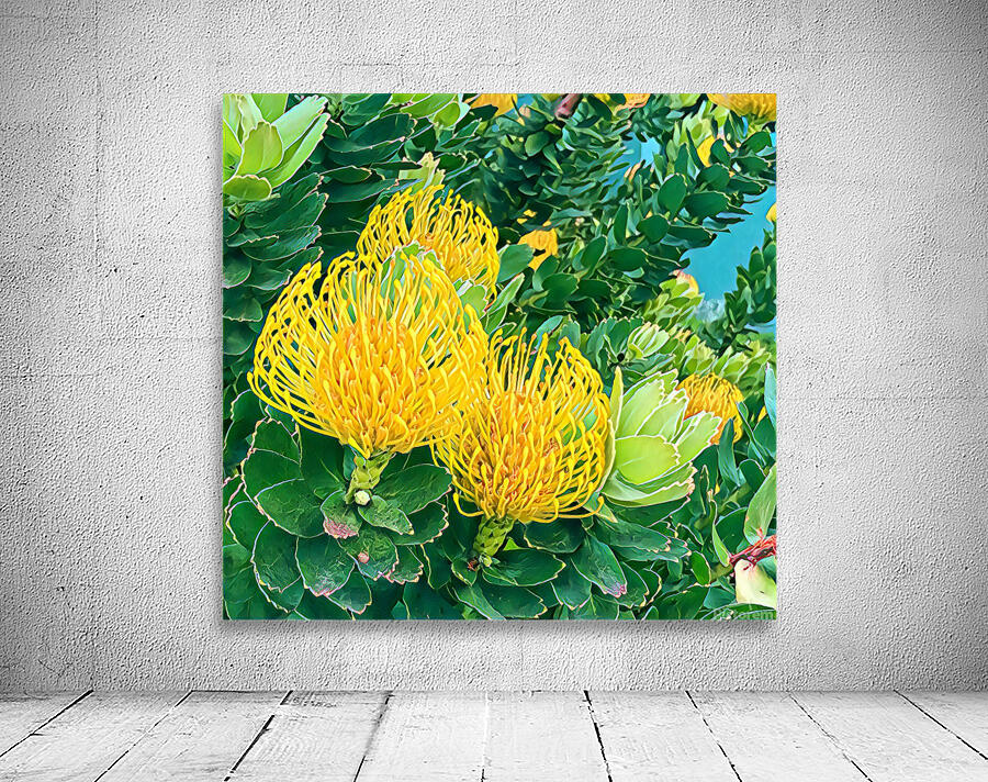 Protea 1 Wall Preview