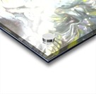 clit Acrylic print