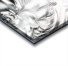 mirror77 Acrylic print