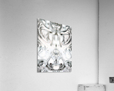 mirror77 Acrylic Print