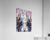 g024 Acrylic Print