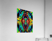 gj06 Acrylic Print
