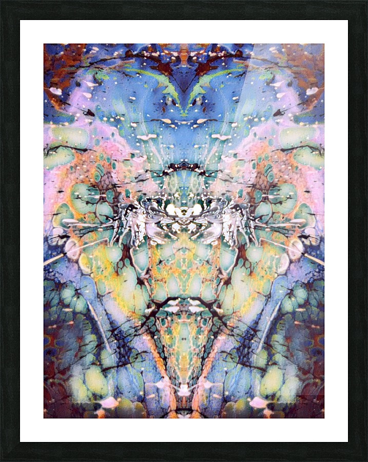 051 Picture Frame print