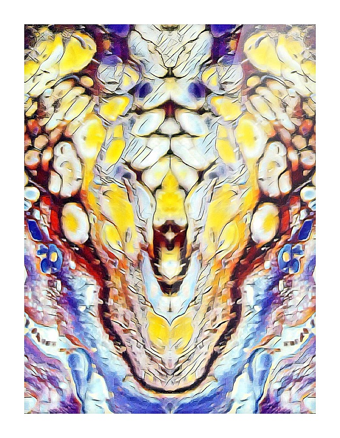 dragon Picture Frame print