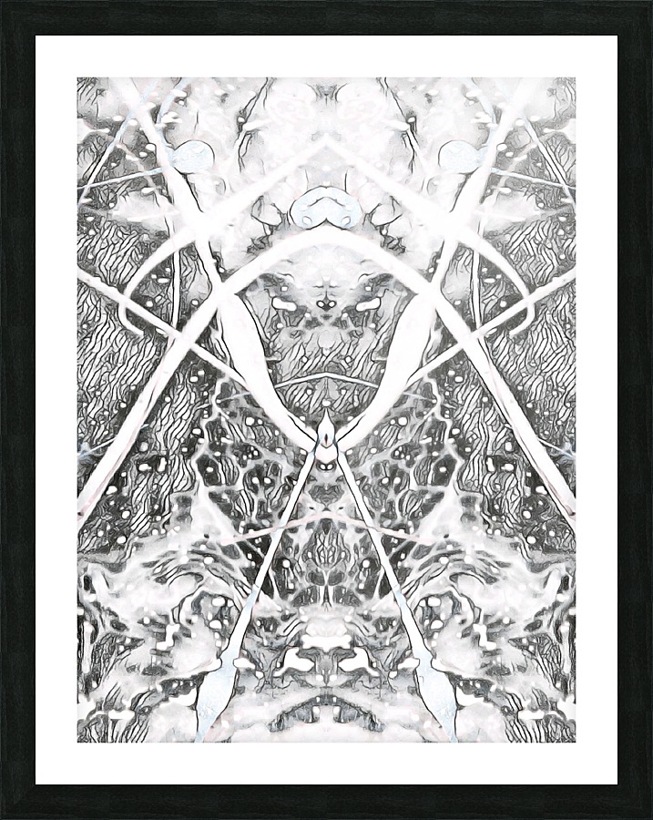 g030 Picture Frame print