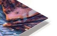 m037 HD Metal print