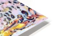 m044 HD Metal print