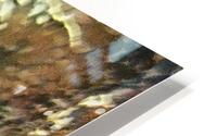 g09 HD Metal print