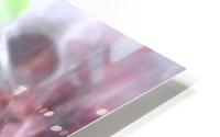 gj010 HD Metal print