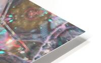 image3A24945_mirror HD Metal print