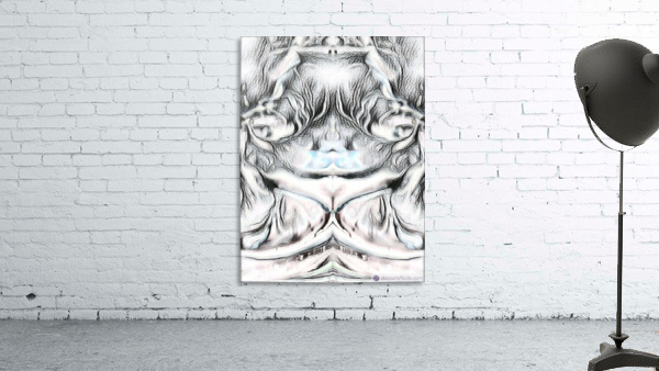 bug eyes Wall Preview