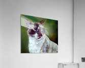 Simon a cat that loves without possessing Acrylic Print