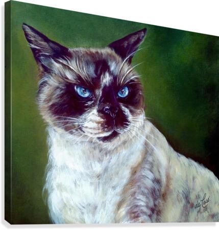 Simon a cat that loves without possessing Canvas Print