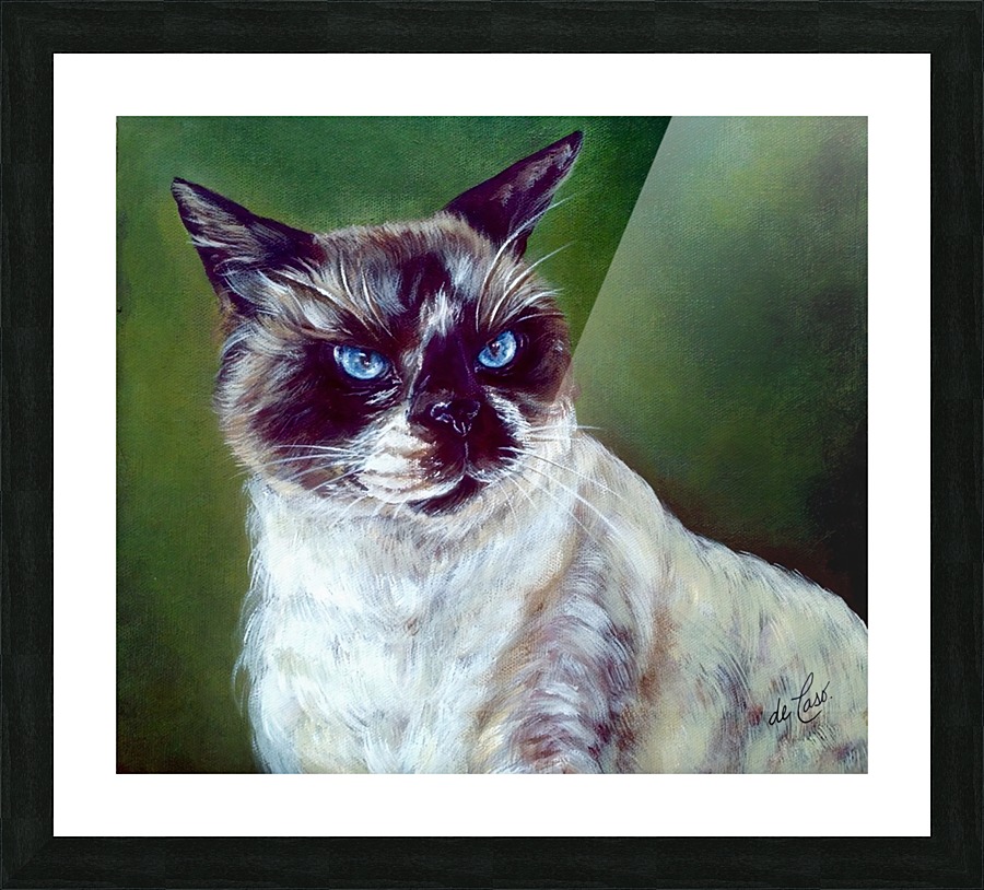 Simon a cat that loves without possessing Picture Frame print