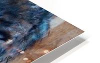 Wolf HD Metal print