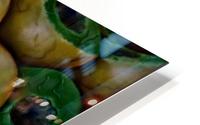 Sweet green melons HD Metal print