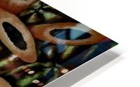 Delicious melons HD Metal print