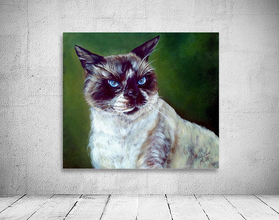 Simon a cat that loves without possessing Wall Preview