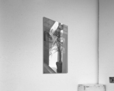 BW Window Plant Acrylic Print