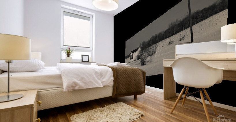 Winter Scene Mural print