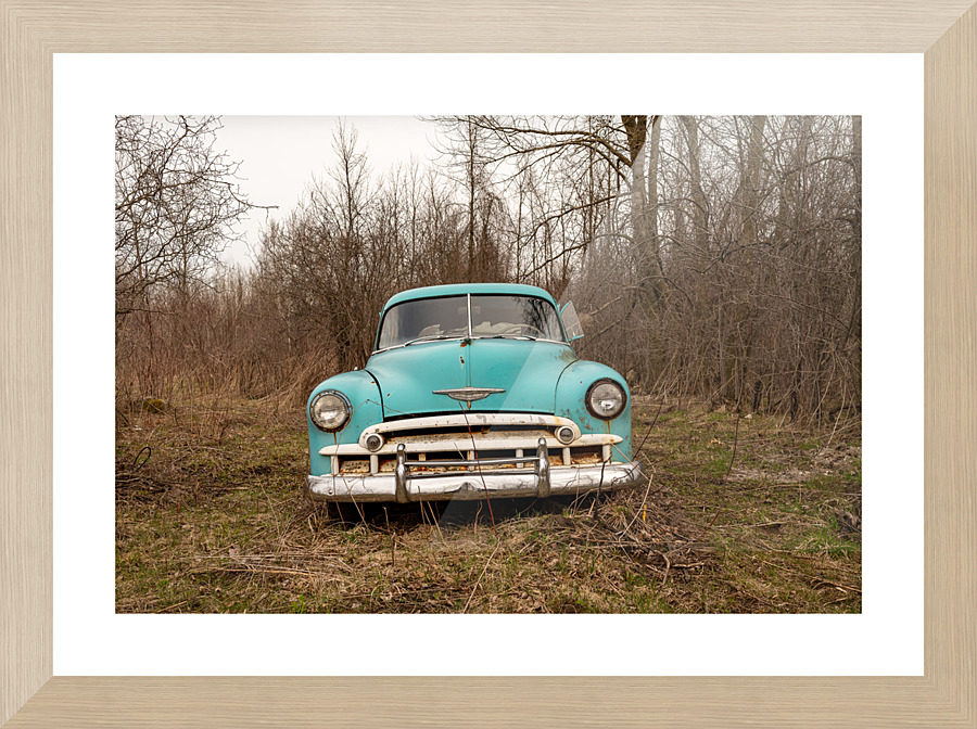 Seen Better Days Picture Frame print