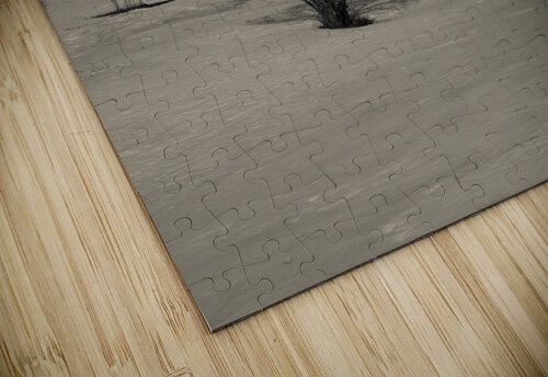 Winter Scene Seb Duper puzzle