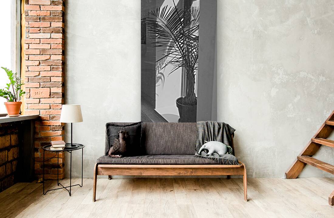 BW Window Plant Reproduction