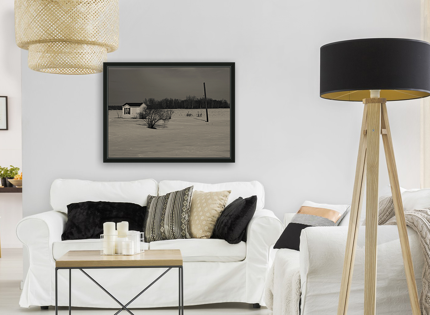 Winter Scene Reproduction