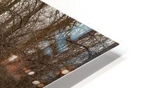 Seen Better Days HD Metal print