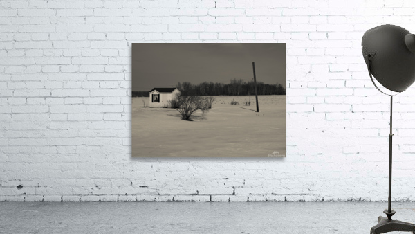 Winter Scene Wall Preview