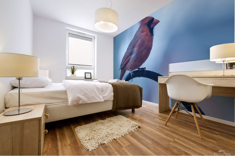 Winter Cardinal Mural print