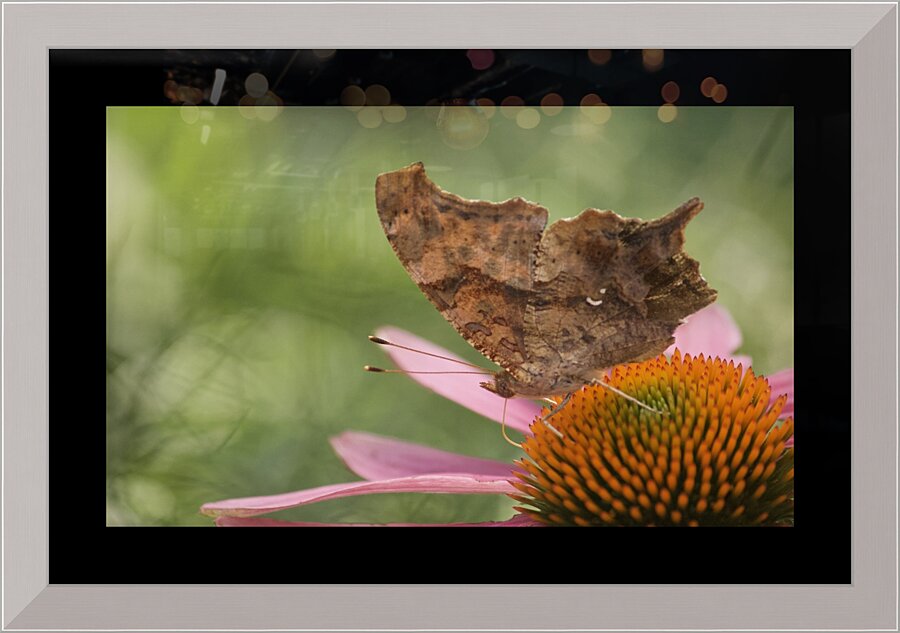Stained Glass Backdrop Picture Frame print