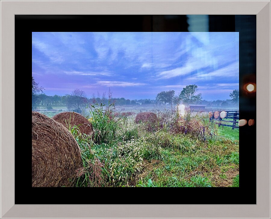 Bluegrass Farm Picture Frame print