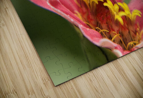 Perfect Skipper Paula Miller Sutter puzzle