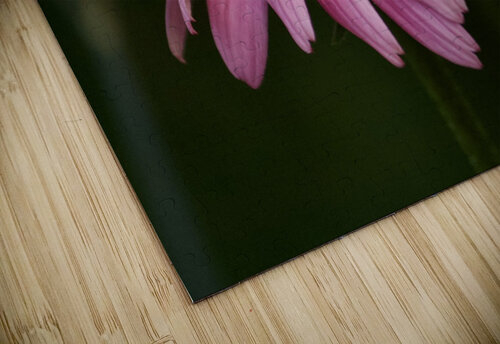 Dark Coneflower Paula Miller Sutter puzzle