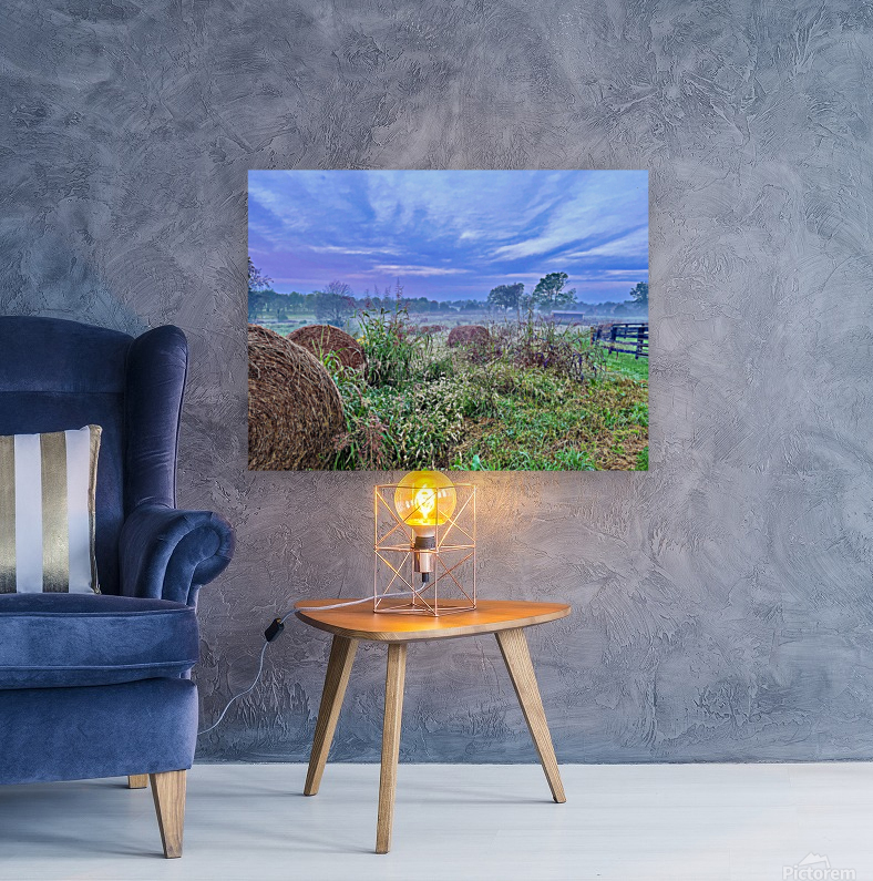 Bluegrass Farm Reproduction