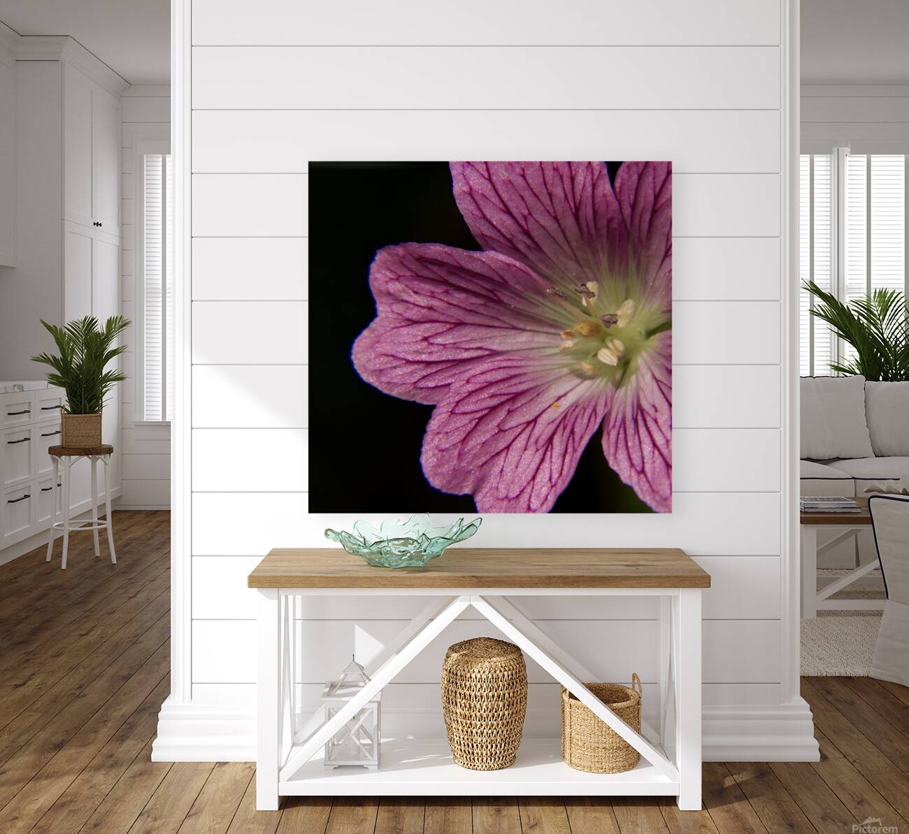 Wild Geranium Reproduction