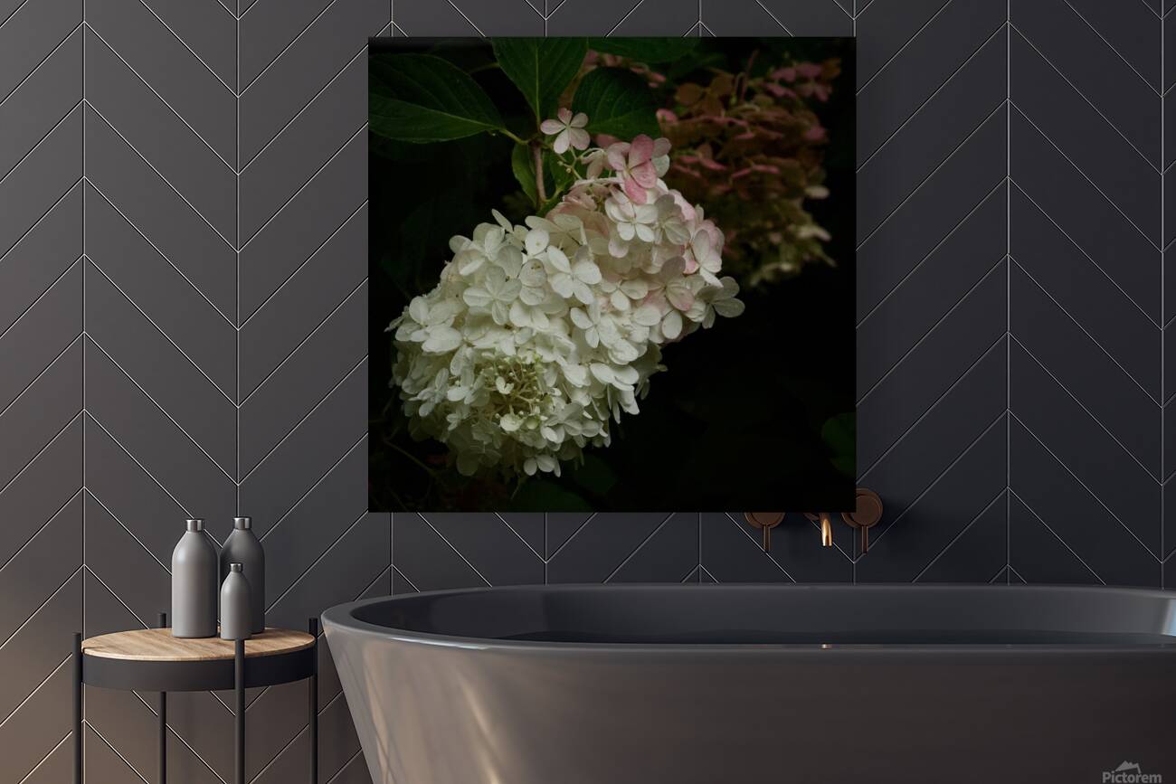 Dreamy Hydrangea  2 Reproduction