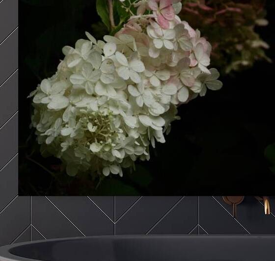 Dreamy Hydrangea  2 Reproduction