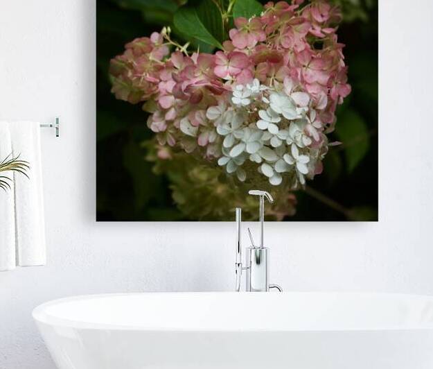 Dreamy Hydrangea  4 by Paula Miller Sutter