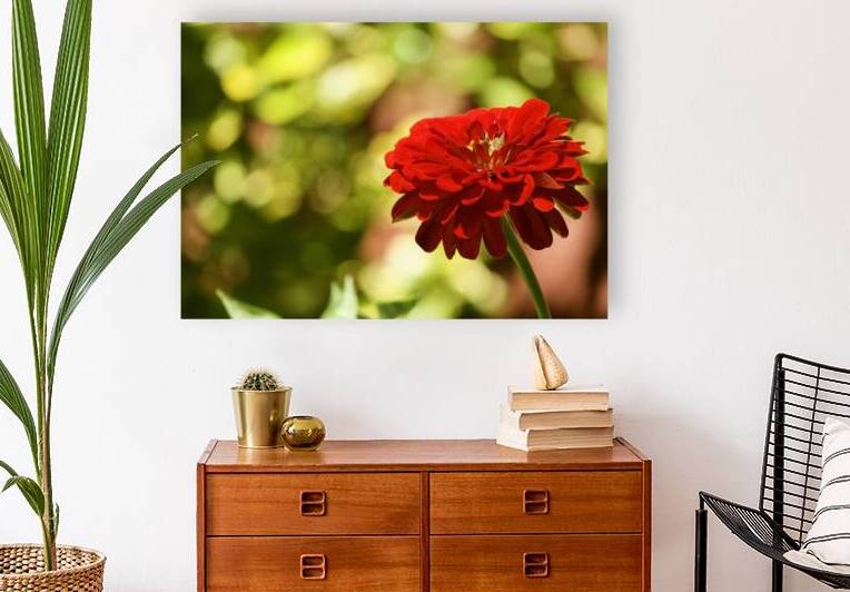 Stained Glass Red Zinnia by Paula Miller Sutter