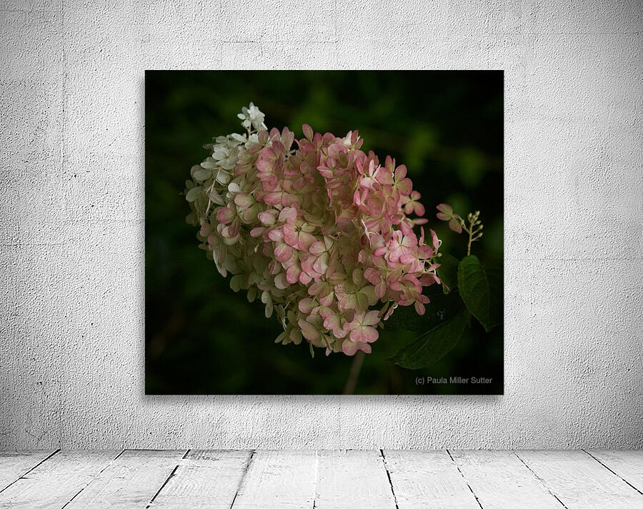 Dreamy Hydrangea  3 Wall Preview
