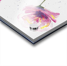 Pink Flower Burst Acrylic print