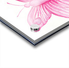 Pink Butterlfy Acrylic print