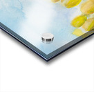 Yellow Tulip Field Acrylic print